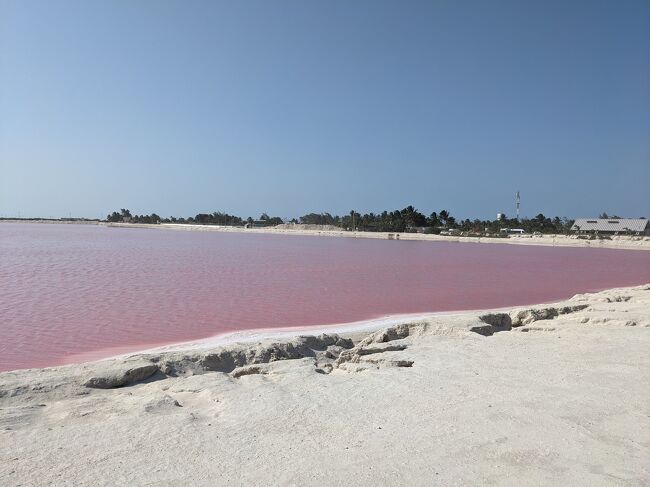 セノーテイキルからピンクレイクは2時間半ほどかかるみたいなので、みんなで車に揺られお昼寝タイムです。<br />ピンクレイクは時期などによって色の濃さが変わるようですが、ピンク色は目で見ても分かります。<br />不思議～
