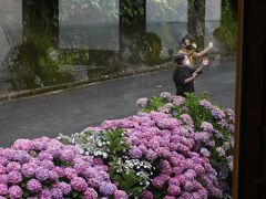 紫陽花のスポットで手を振ってくれる地元の方