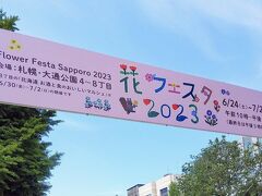 6月の初夏の大通公園はイベントが盛りだくさんです。よさこいソーラン祭りに始まり、札幌まつり、そして、花フェスタです。