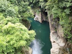 昼食後は中央道を大月まで戻って猿橋観光？です。日本三奇橋の一つだそうです。

橋から下を覗くと深い渓谷です。たしかに橋脚は建てられません。
紅葉はきれいでしょう。