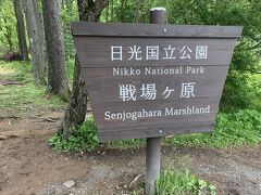 戦場ヶ原は、男体山の神様と赤城山の神様が戦ったことが名前の由来となっています。