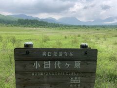 小田代ヶ原は、近年乾燥してきており、だんだん湿地ではなくなってきているそうです