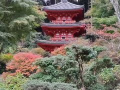 浄瑠璃寺から岩船寺へ移動。これは奈良世界遺産フリーきっぷ　奈良･斑鳩･吉野コースのルート外なので２００円バス代払って移動