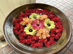 ホテル玄関の花手水。
お花も南国らしく、ハイビスカスでした。