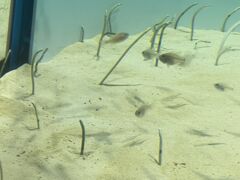 アクアワールド茨城県大洗水族館