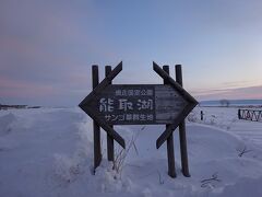 翌朝。
母と2人でオホーツクの早朝散歩をすることにしました。
残りの3人は寒いから嫌だって(￣ー￣)