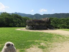 さて最終日最初の観光地は、石舞台古墳。

ゴエモン「どうして石組みだけになっちゃったんだろうね。」

ゴエモングッドクエスチョン。