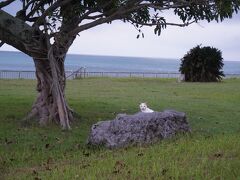 サザンゲート広場