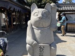 おかげ横丁の猫ちゃんです。
