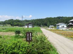 畑の中にぽつんと見える「入鹿の首塚」の看板。

今は農地になっていますが、かつてはこの辺りずっと飛鳥寺の境内であったようです。前方に見える丘は甘樫丘で、かつて蘇我家の邸宅があった場所とされています。