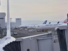 東京から愛知へは、新幹線で１時間半。
愛媛へも、飛行機で１時間半。

便利な世の中になりました。

うっかり間違いで落ち込むどころか、すごくワクワクしながら飛行機に乗り込みました。