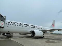 おはようございます。
毎度おなじみ早朝の羽田空港です。
もう毎回この羽田写真要らんのでは……と思うんですけども、移動地図が面白いことになるので載せ続けます。