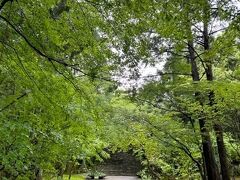 まずはいつもの竹林寺で下車。
雨上がりのおかげで緑がめちゃくちゃ綺麗だった。植物を見るときは雨上がりが最適なんだなぁ

ところで君たちもみじ？？楓？？君どっち？
写真を撮ってiPhoneさんに聞いたらモミジバフウというらしい。
iPhoneさん超便利。