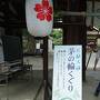 観光客の戻った京都　大混雑の天神さん、早朝の京都市中央卸売市場、そして老舗パン屋さん
