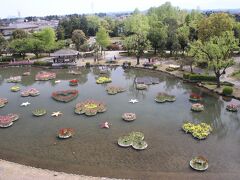 チューリップタワーから水上花壇