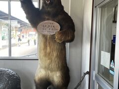 登別到着クマー