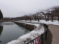 前回も訪れた五稜郭公園を少し歩いたりもしつつ、