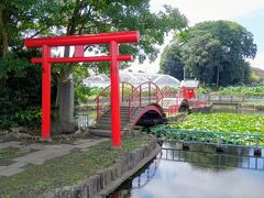 駅から徒歩６分ほど、遊具やトイレがある児童公園に二連の木造橋が架けられた小さな神社(出世弁財天女宮)があります。