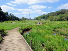 広大な菖蒲園がある公園です。
この時期は湿地の中の生き物を釣り上げる人たちがたくさんいました。

それにしても住宅街の中にこんなに自然豊かな場所があるとは。