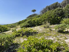 五穀の種が入った壺が漂着したという
伝説の地だそう