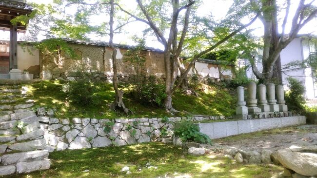 山口歴史探訪 西国一の守護大名大内氏の足跡を訪ねて 1 西の京 山口歴史探訪 西国一の守護大名大内氏の足跡を訪ねて 1 西の京