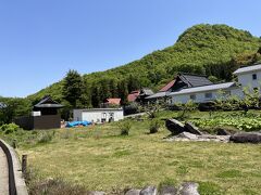 バスの時間が合わなかったので、岩松院から浄光寺まで徒歩で行きました。
風景がのんびりして心が現れる感じ！
ネットで観てると10分弱で行けるようでしたが、ｱﾃｸｼたちはのろまな亀なので15分ほどかかりました。
天気が良すぎて暑い！