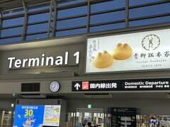 愛知県在住の私の旅は中部国際空港セントレアから。
自宅から車で常滑駅まで行き（1時間弱）、そこから電車で空港に到着しました。
今回の行きのフライトは　セントレア→羽田→シンガポール→バリ島　と乗り換え2回です。
以前千葉に住んでましたが、そこは羽田も成田もアクセスがよく、旅するには恵まれた環境だったと思い返す。