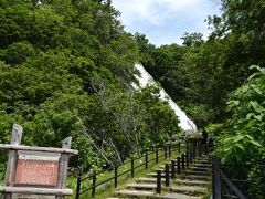 知床半島をウトロに向かう道で最初に出会う観光地はこのオシンコシンの滝
駐車場が広く、滝までも歩いてすぐで行きやすい
向こうに巨大な白い布を広げたような滝が見えてきた