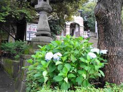 尾山神社