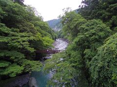 かずら橋に到着。
祖谷渓大橋から見たかずら橋。