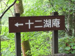 ちょこっと青森(白神山地青池&奥入瀬渓流&酸ヶ湯温泉)』奥入 ちょこっと青森(白神山地青池&奥入瀬渓流&酸ヶ湯温泉)』奥入