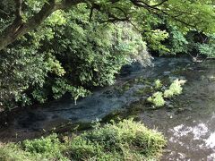 よく見るとあちこちから水が湧き出ていました。
だからよどみに浮かぶ泡沫なんてありません。