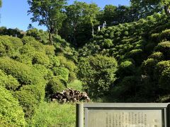 柿田川公園から箱根を目指します。
が、その前に山中城跡に寄り道しました。