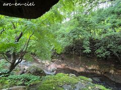 前日は、小さな虫がいたのですが、この日は雨が降っているおかげで、虫が一匹もいず、何度も温泉を楽しめました。