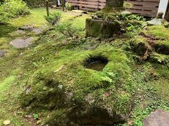 何種類もの苔が素晴らしい。