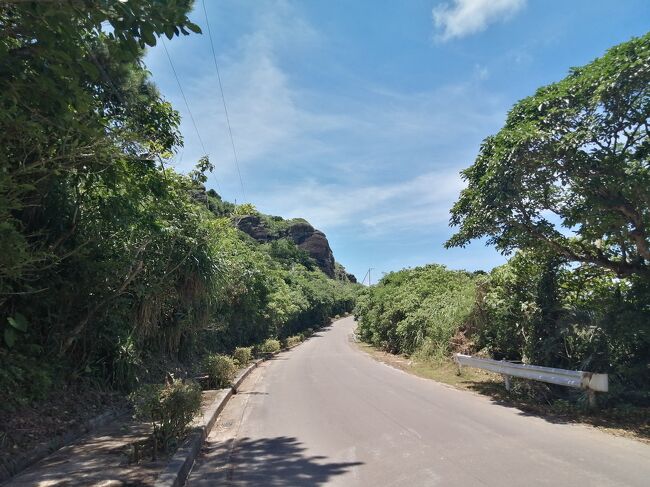 日陰が圧倒的に不足…<br />暑い…。