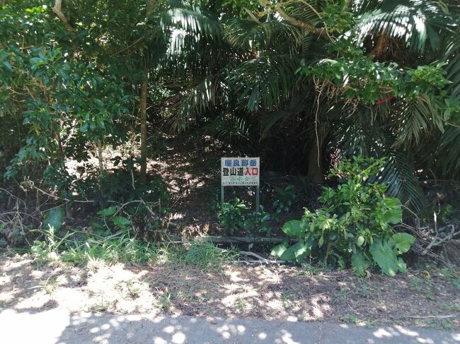 と、ここで屋良部岳の登山口発見！<br />本当はここに下りて来たかったんです。入口はしっかりした道のように見えますが、頂上のどこに出るんでしょうか…。