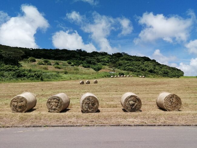 ここはどこ？北海道みたい。