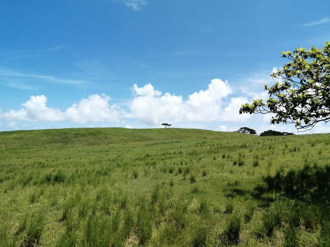 ここも大崎牧場の敷地のよう。<br />絵になる景色がいっぱい。