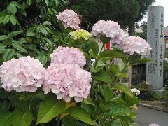 仙台の紫陽花の名所　資福禅寺
北山駅から歩いて15分くらいです
