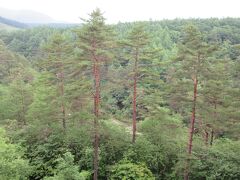 下の森の中は、西の河原公園が見え隠れしています。