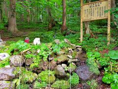 下北駅に着き、バスに乗ります。恐山について録音の案内もあるので予習ができました。

冷水というところで湧き水休憩も設けてくれました。若返りのありがたいお水。