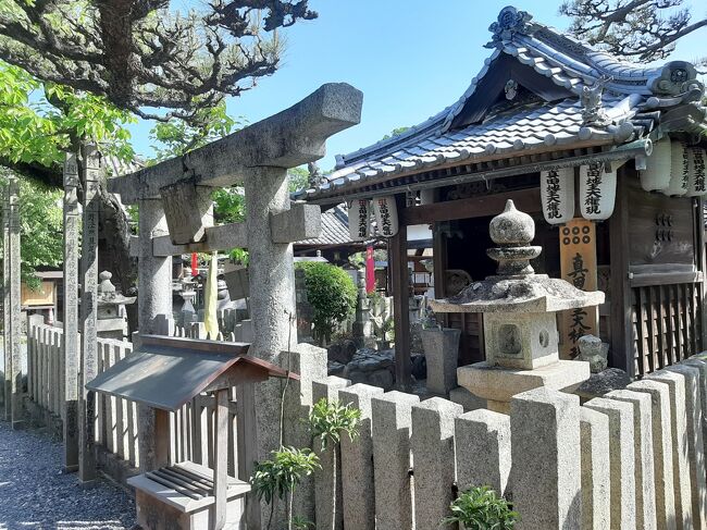 真田昌幸の墓所もこのお寺の中にあります。<br /><br />お寺の中に鳥居があるのは結構珍しいと思います。