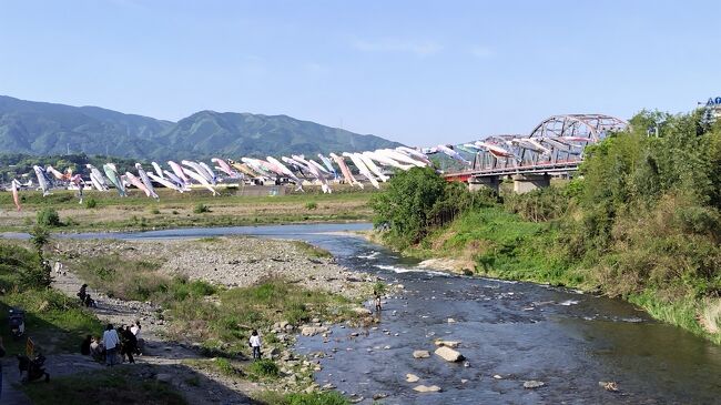 道の駅のお隣、紀ノ川（手前奧）に合流する前の丹生川です。<br />鯉のぼりがいっぱい泳いでいました。