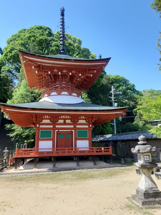 多宝塔。<br /><br />根本大堂っぽく見えなくもない・・<br /><br />弘法大師が創立した大日如来が置かれている塔。<br />今の塔は江戸時代初期の建立だそうですが・・修復繰り返しているので新しいものに見えますね。良くも悪くも。