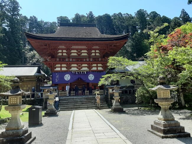 奥には本殿があります。<br /><br />先ほどの慈尊院と比べるとかなり辺鄙な場所にあり、よく行く気になったなと振り返ると思います。