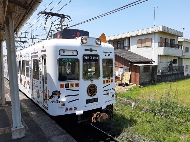 １日券を買って、ネコフェイスの電車で出発！