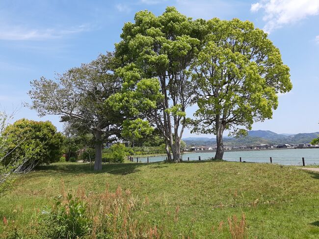 人工の池ですが、古墳がある場所ということもあり、古墳の場所は岬のようになっていて、形状にアクセントが付いています。