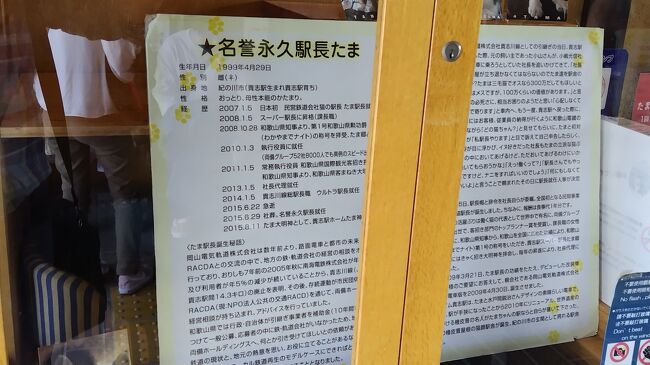 2015年に亡くなった、永久名誉駅長・たまさんの展示。