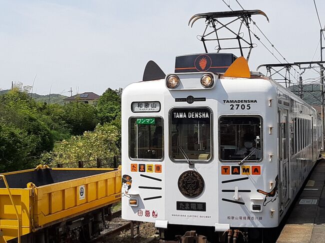 帰りも、そのたま電車でした。